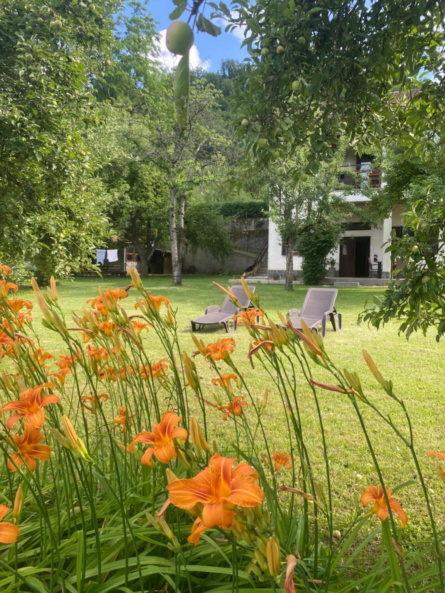 Konjic Lakeside Resort מראה חיצוני תמונה